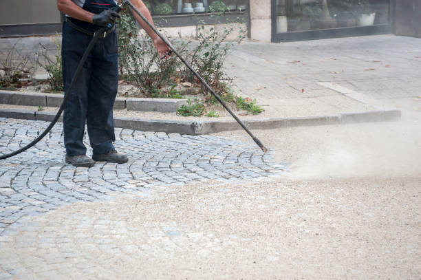 Best Gutter Cleaning  in East Northport, NY